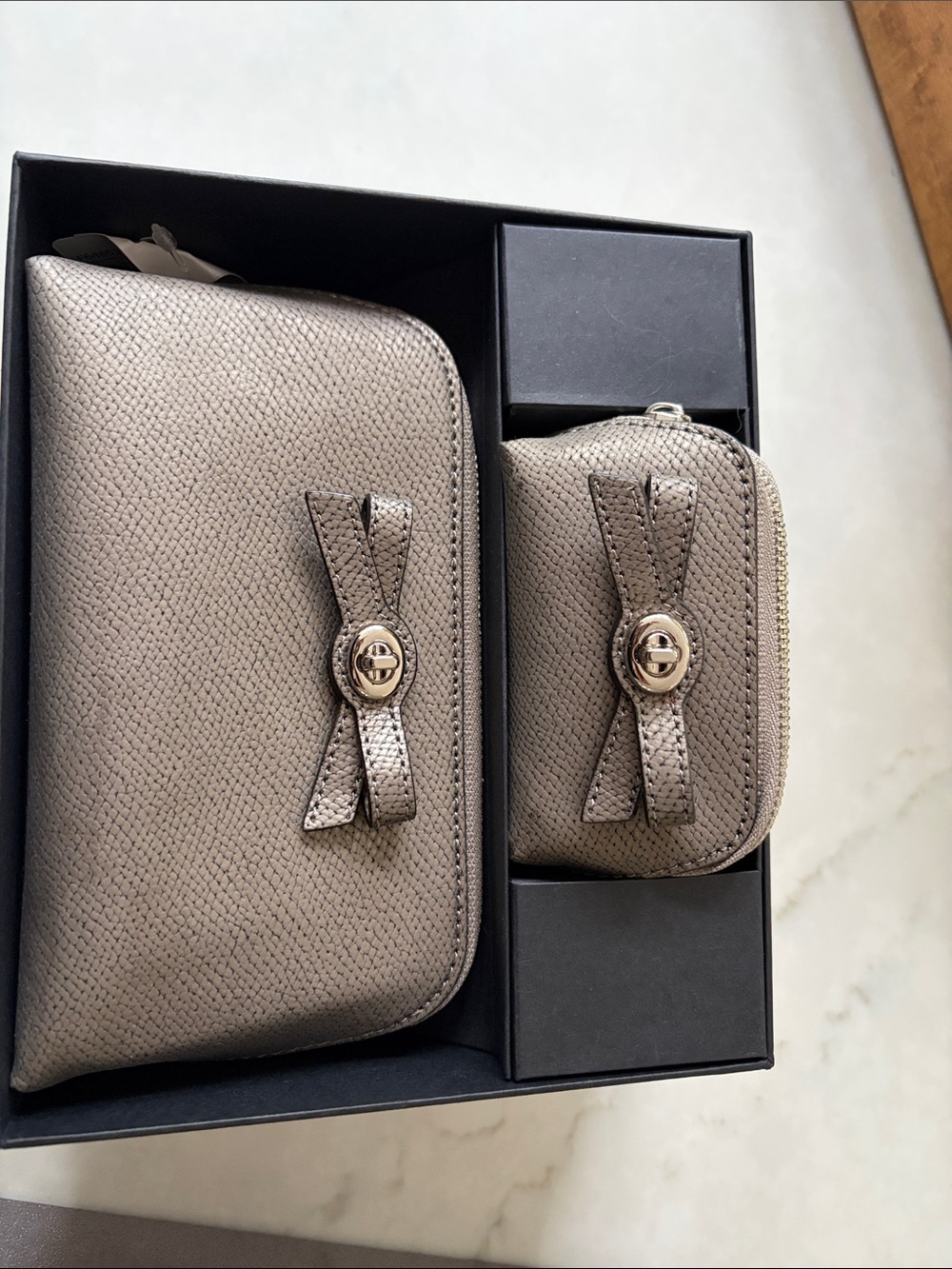 Coach mini pouch and case